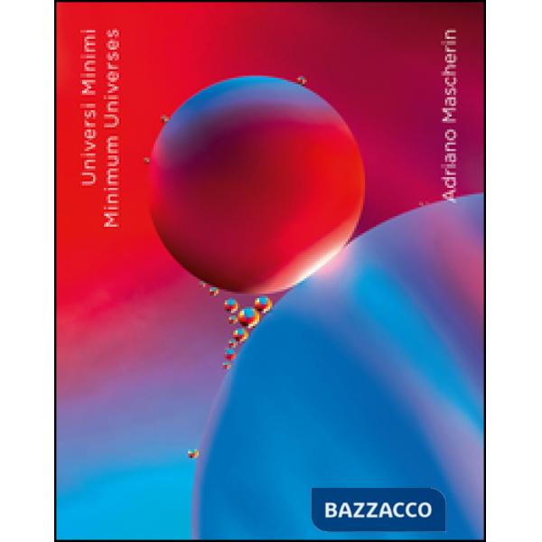 Universi minimi-Minimum universes. Ediz. multilingue