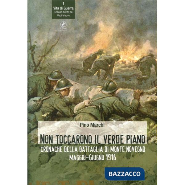 Non toccarono il verde piano. Cronache della battaglia di Monte Novegno maggio-giugno 1916