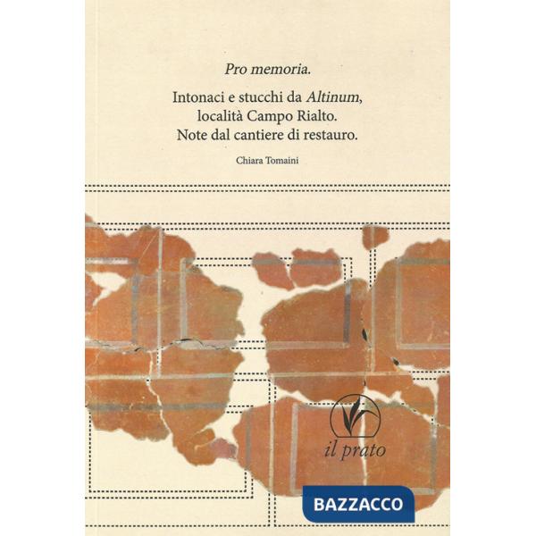 Pro memoria. Intonaci e stucchi da Altinum Località Campo Rialto. Note dal cantiere di restauro