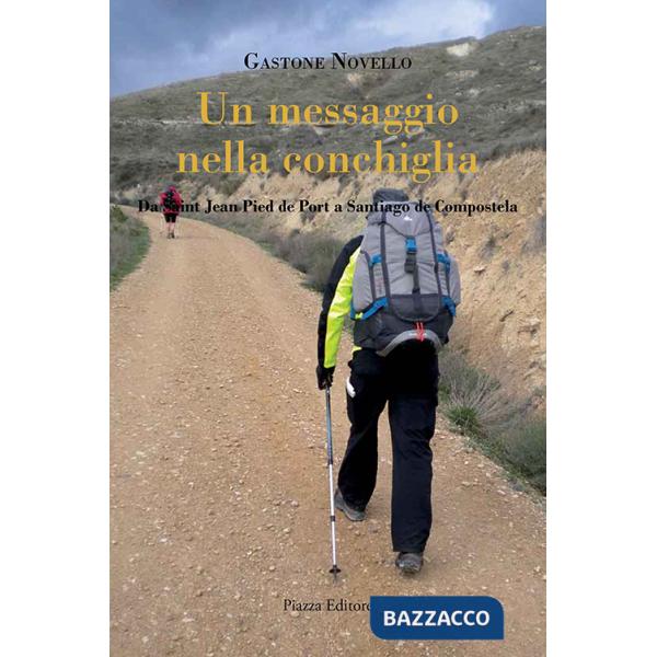 Messaggio nella conchiglia. Da Saint Jean Pied de Port a Santiago de Compostela (Un)