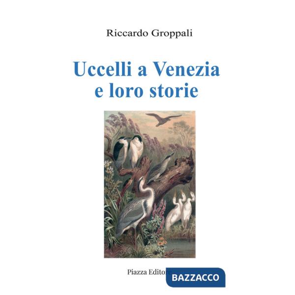Uccelli a Venezia e loro storie
