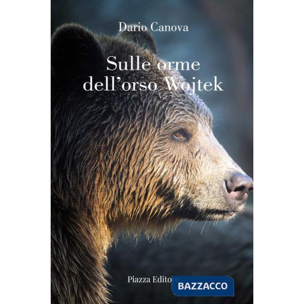 Sulle orme dell'orso Wojtek