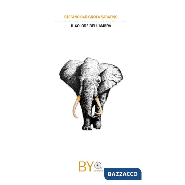 Colore dell'ambra (Il)