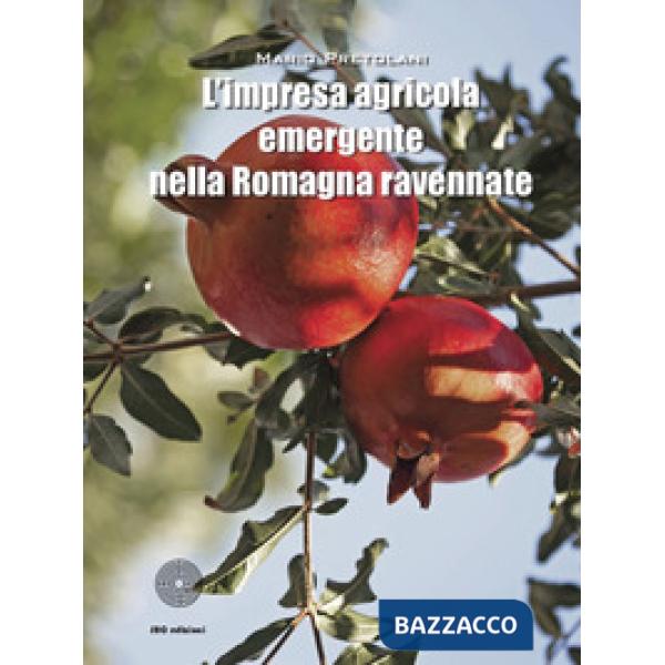 Impresa agricola emergente nella Romagna ravennate (L')