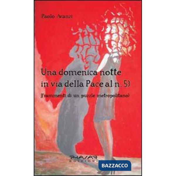 Domenica notte in via della pace al n. 53. Frammenti di un puzzle metropolitano 