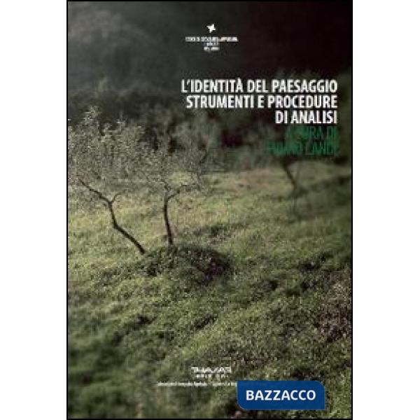 Identità del paesaggio. Strumenti e procedure di analisi (L')