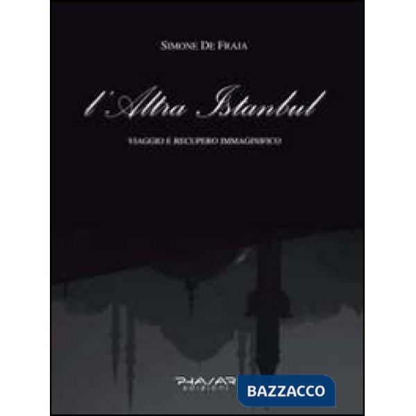 Altra Istanbul. Viaggio e recupero immaginifico (L')
