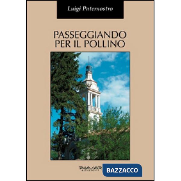 Passeggiando per il Pollino. Storia e arte di alcuni dei suoi centri abitati