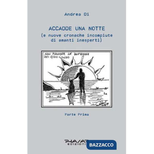 Accadde una notte (e nuove cronache incompiute di amanti inesperti). Vol. 1