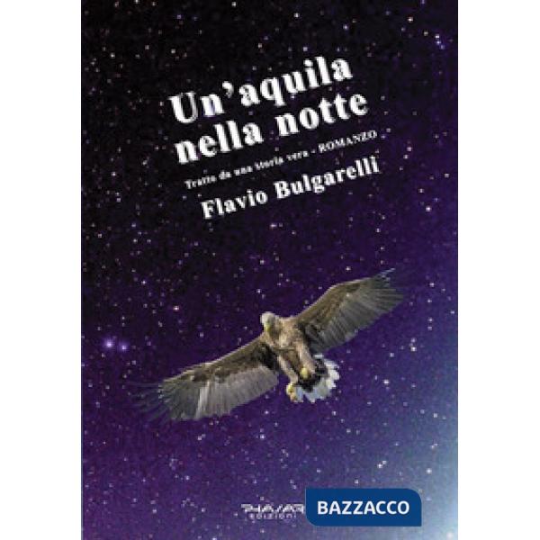 Aquila nella notte (Un')