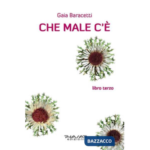 Che male c'è. Libro terzo