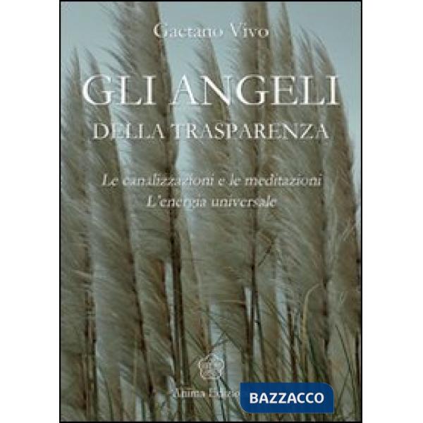 Angeli della trasparenza. Le canalizzazioni e le meditazioni. L'energia universale