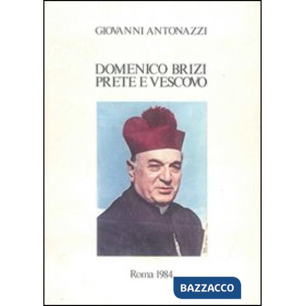 Domenico Brizi prete e vescovo