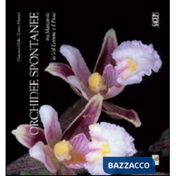 Orchidee spontanee tra Marcarolo la Val Lemme e il Piota. Ediz. illustrata