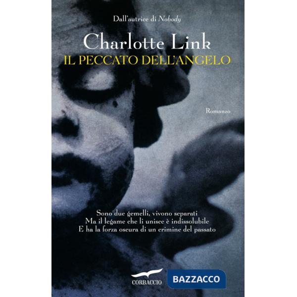 Peccato dell'angelo (Il)