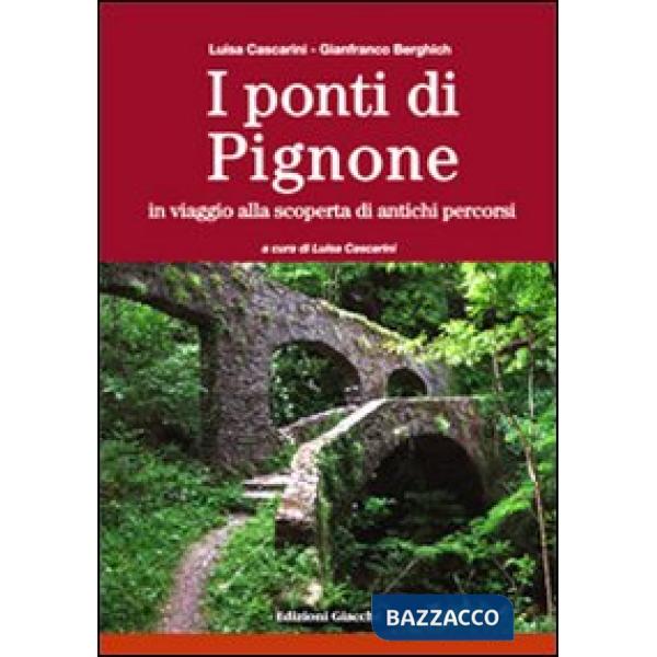 Ponti di Pignone. In viaggio alla scoperta di antichi percorsi. Ediz. illustrata (I)