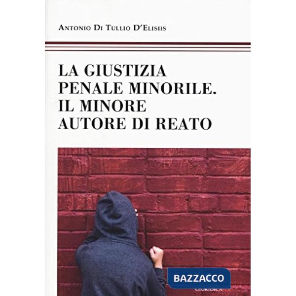 Giustizia penale minorile. Il minore autore di reato (La)