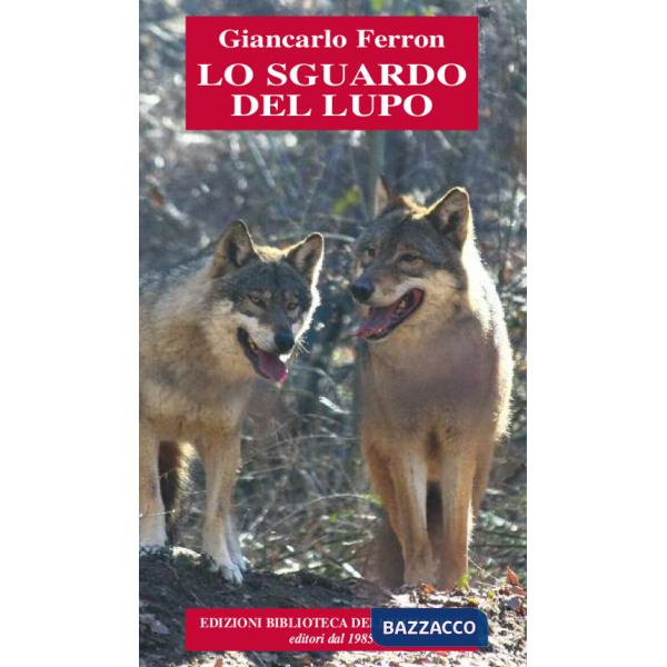 Sguardo del lupo (Lo)