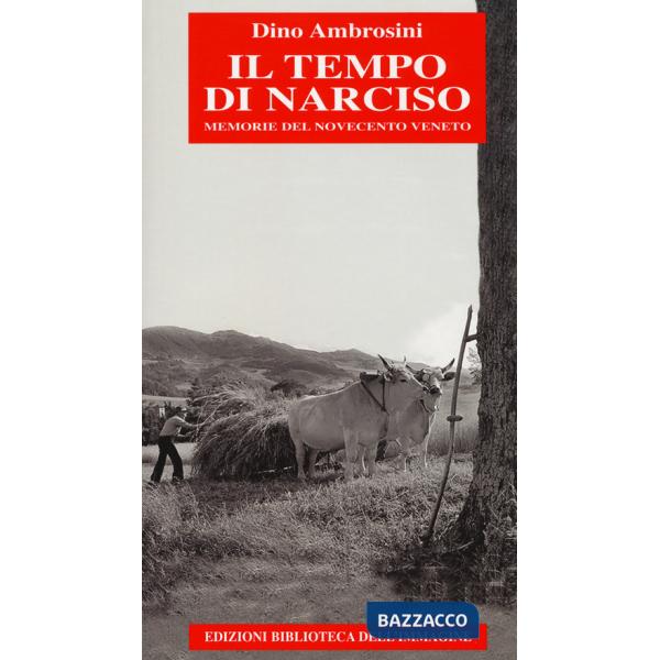 Tempo di Narciso. Memorie del Novecento veneto (Il)