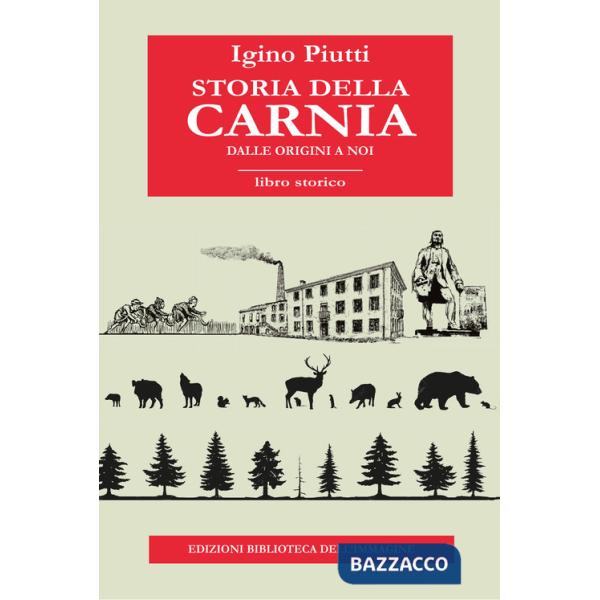 Storia della Carnia. Dalle origini a noi