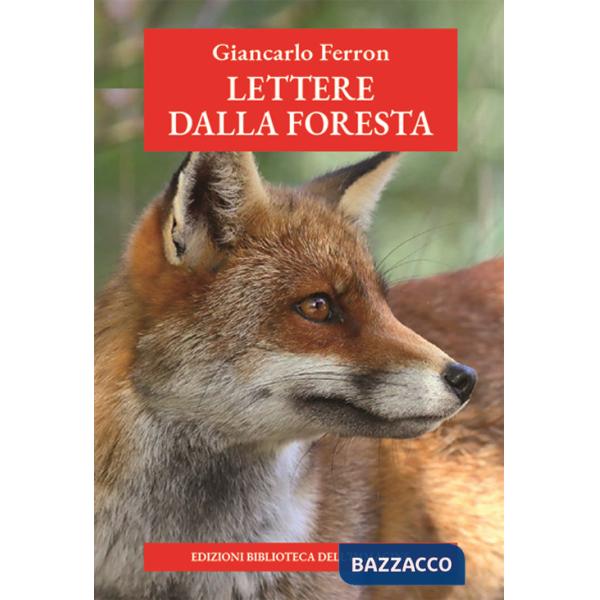 Lettere dalla foresta