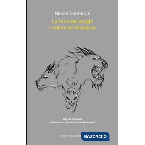 Ultimo dei Meadaras. La terra dei draghi (L'). Vol. 2