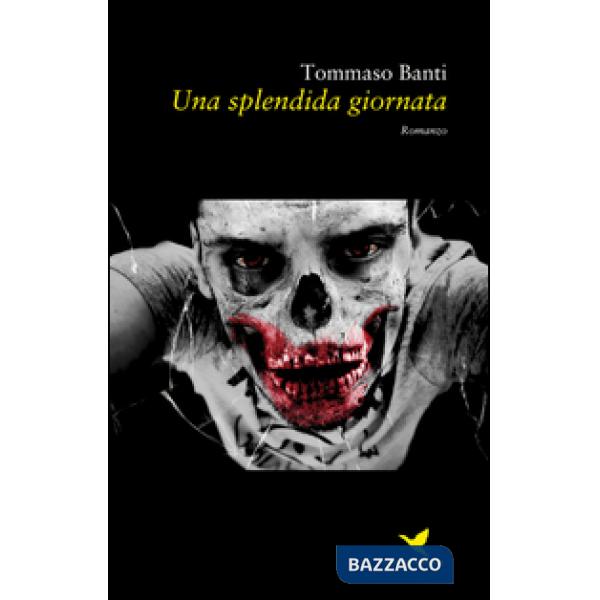 Splendida giornata (Una)