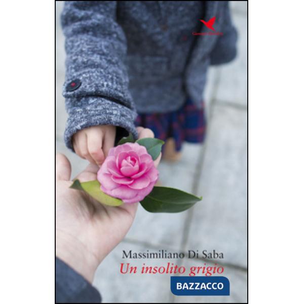 Insolito grigio (Un)