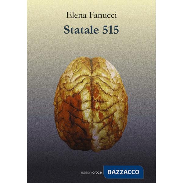 Statale 515