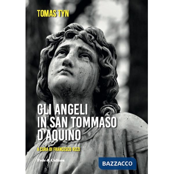 Angeli di San Tommaso d'Aquino (Gli)