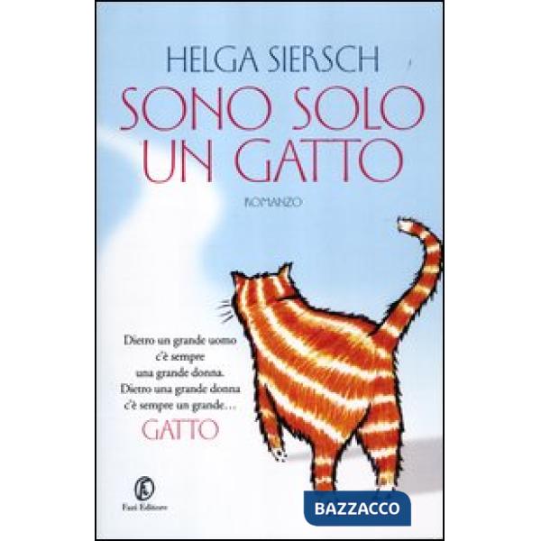 Sono solo un gatto