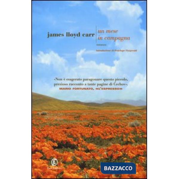 Mese in campagna (Un)