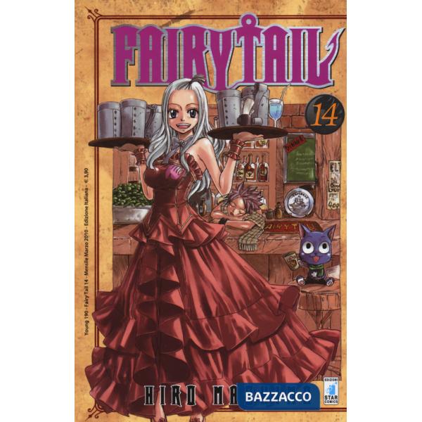 Fairy Tail. Vol. 14