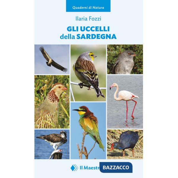 Uccelli della Sardegna (Gli)