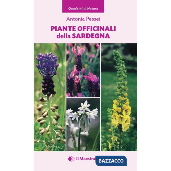 Piante officinali della Sardegna