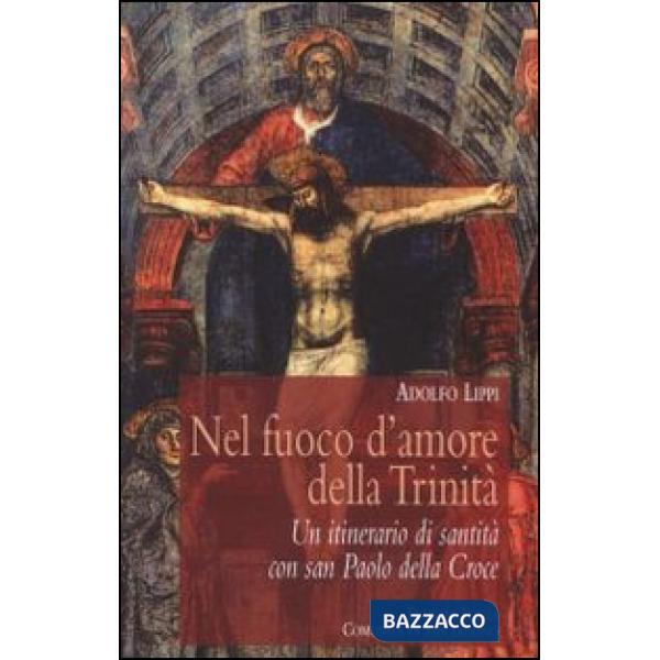 Nel fuoco d'amore della Trinità. Un itinerario di santità con san Paolo della Croce