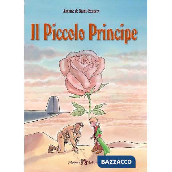 PICCOLO PRINCIPE (IL)