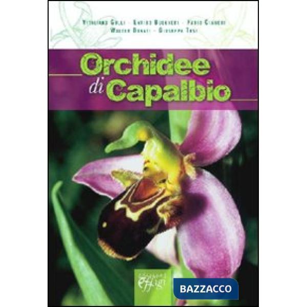 Orchidee di Capalbio