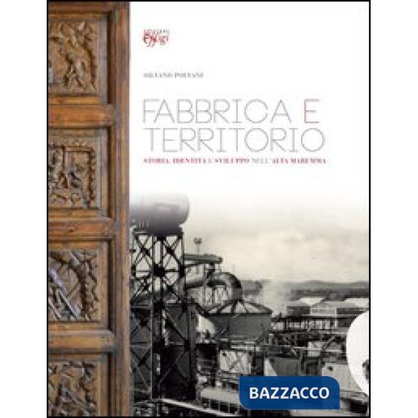 Fabbrica e territorio. Storia, identità e sviluppo nell'alta Maremma