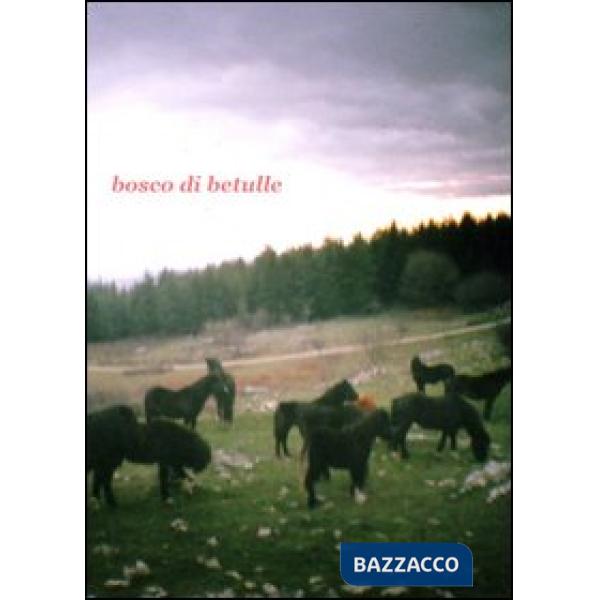 Bosco di betulle. Ediz. italiana e inglese