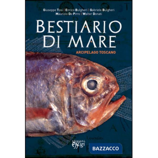 Bestiario di mare