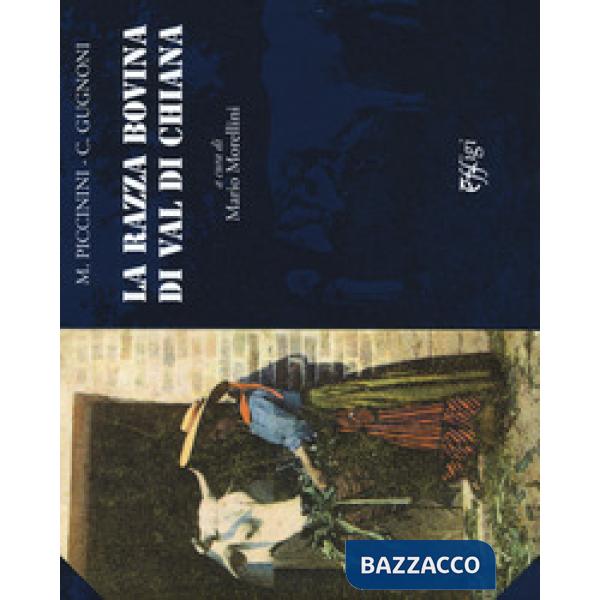 La razza bovina di Val di Chiana