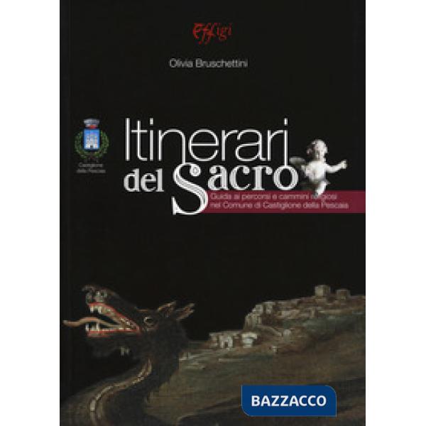 Itinerari del sacro. Guida ai percorsi e cammini religiosi nel comune di Castigl
