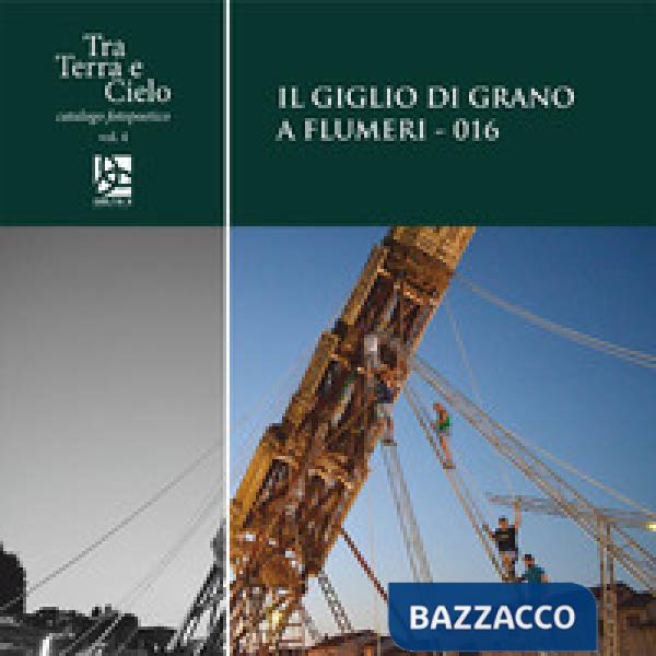 Giglio di grano a Flumeri-016 (Il)