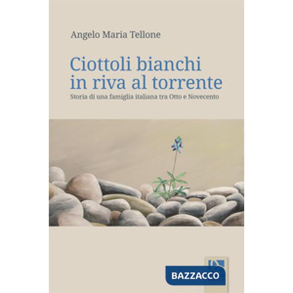 Ciottoli bianchi in riva al torrente. Storia di una famiglia italiana tra Otto e
