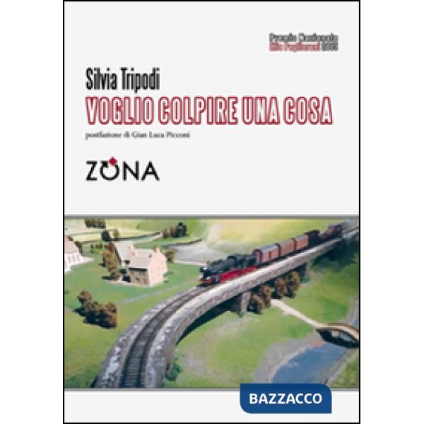 Voglio colpire una cosa. Premio Pagliariani 2015