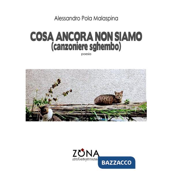 Cosa ancora non siamo (canzoniere sghembo)