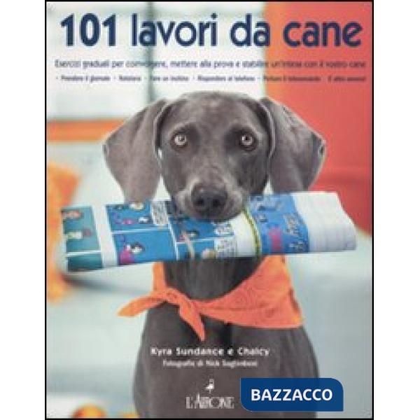 Centouno lavori da cane