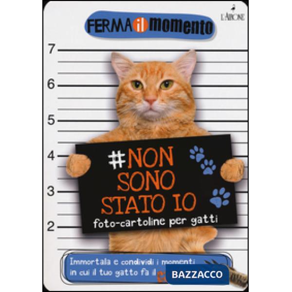 Non sono stato io. Foto-cartoline per gatti