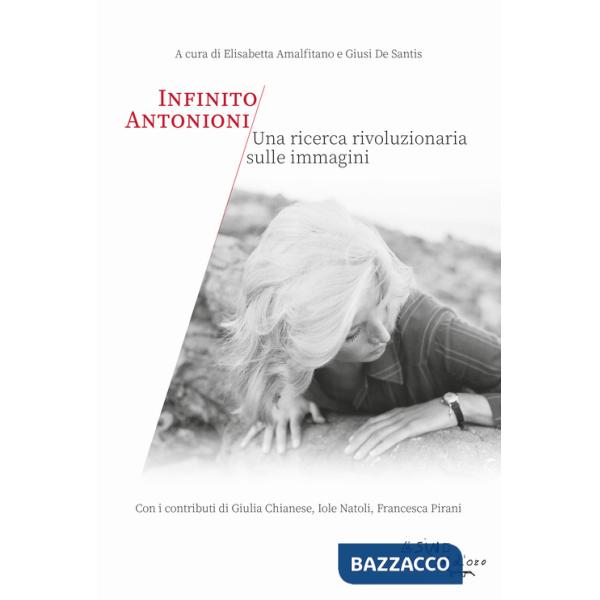 Infinito Antonioni. Una ricerca rivoluzionaria sulle immagini